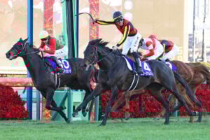 ミュージアムマイル/2025有馬記念