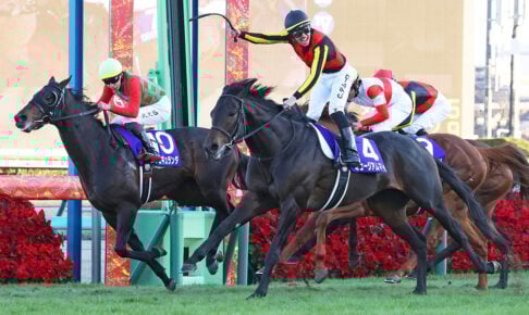 ミュージアムマイル/2025有馬記念