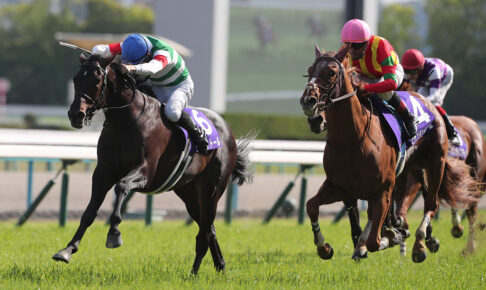 ヘデントール／2025年天皇賞春（C）Eiichi Yamane