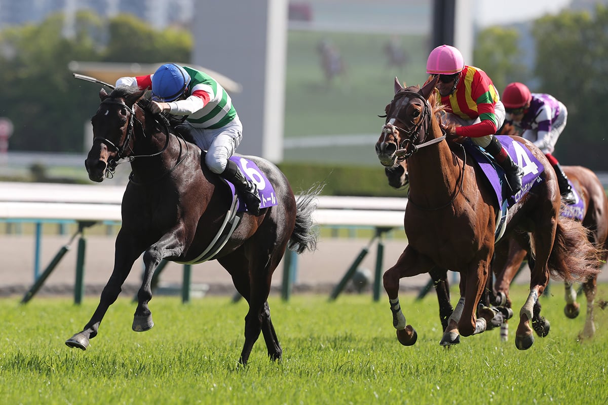 【京都記念2026予想】過去10年のレース結果・配当・血統まとめ　傾向分析に使えるお役立ちデータ