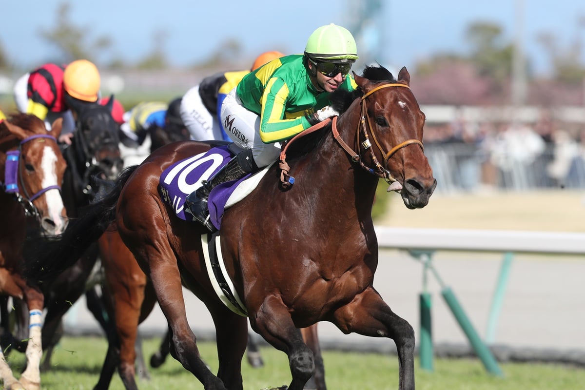 【高松宮記念2026特集】「サトノレーヴの連覇か、ナムラクレアの悲願達成か」出走予定・枠順・追い切り・予想オッズetc. 画像