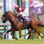 【スプリンターズステークス2026特集】「GI馬5頭参戦の電撃6ハロン」出走予定・予想オッズ・追い切り・データetc. 【スプリンターズステークス2026特集】「GI馬5頭参戦の電撃6ハロン」出走予定・予想オッズ・追い切り・データetc.