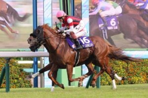 ウインカーネリアン／2025年スプリンターズステークス