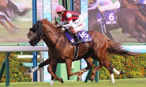 ウインカーネリアン／2025年スプリンターズステークス