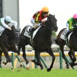 【日本ダービー（東京優駿）2026予想】過去10年のレース結果・配当・血統まとめ　傾向分析に使えるお役立ちデータ