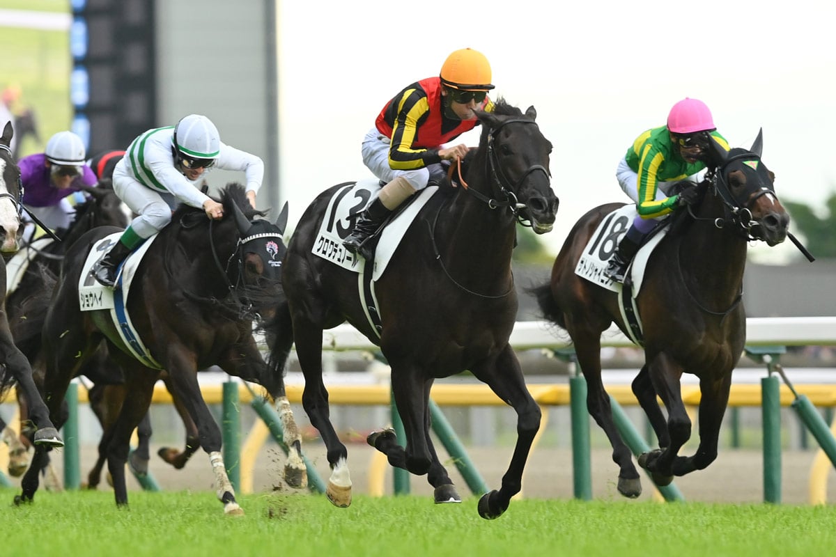 【大阪杯2026特集】「クロワデュノールvs.ダノンデサイル、ダービー馬同士が激突」出走予定・枠順・追い切り・予想オッズetc. 画像