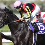 【天皇賞春2026特集】「クロワデュノール、いざステイヤー頂上決戦へ」出走予定・枠順・追い切り・予想オッズetc.