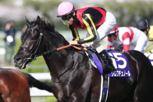 クロワデュノール/大阪杯2026