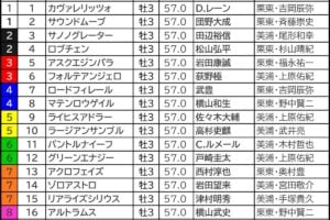 皐月賞2026の枠順