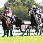 【日本ダービー（東京優駿）2026特集】「ロブチェンの二冠達成か、それとも……」出走予定・枠順・追い切り・予想オッズetc.