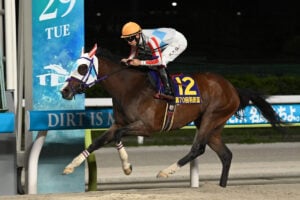 ナチュラルライズ／2025羽田盃（C）TCK