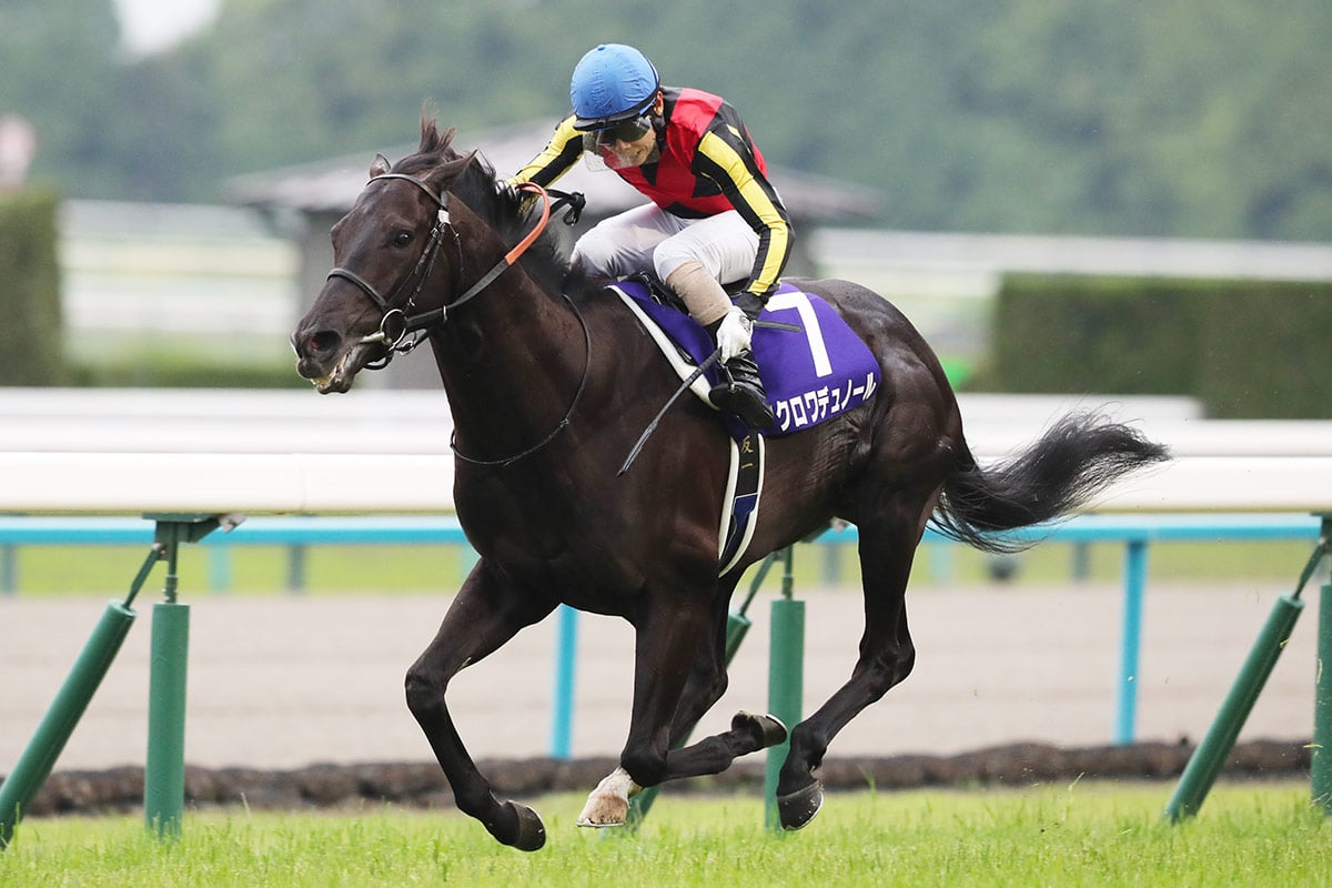 【宝塚記念2026特集】「クロワデュノール、前人未到の春古馬三冠へ」出走予定・ファン投票・枠順・追い切り・予想オッズetc. クロワデュノール/天皇賞春2026