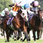 【新潟記念2026予想/過去10年データ】2人気が5勝の一方で6人気以下が4勝 GI馬5頭が顔を揃える注目重賞も順当には決まらない!? 【新潟記念2026予想/過去10年データ】2人気が5勝の一方で6人気以下が4勝 GI馬5頭が顔を揃える注目重賞も順当には決まらない!?