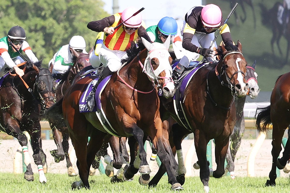 【新潟記念2026予想/過去10年データ】2人気が5勝の一方で6人気以下が4勝 GI馬5頭が顔を揃える注目重賞も順当には決まらない!? ロデオドライブ/NHKマイルC2026