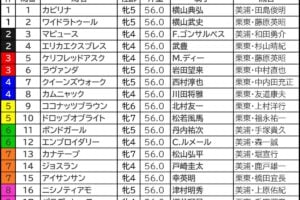 ヴィクトリアマイル2026の枠順