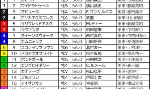 ヴィクトリアマイル2026の枠順