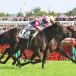 【神戸新聞杯2026/過去10年データ】日本ダービー組が10戦10勝 実績だけでは語れない「枠」と「生産」の傾向 【神戸新聞杯2026/過去10年データ】日本ダービー組が10戦10勝 実績だけでは語れない「枠」と「生産」の傾向