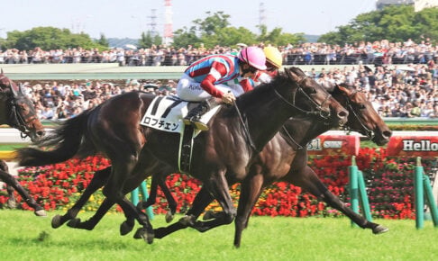 【神戸新聞杯2026/過去10年データ】日本ダービー組が10戦10勝 実績だけでは語れない「枠」と「生産」の傾向 ロブチェン/日本ダービー2026