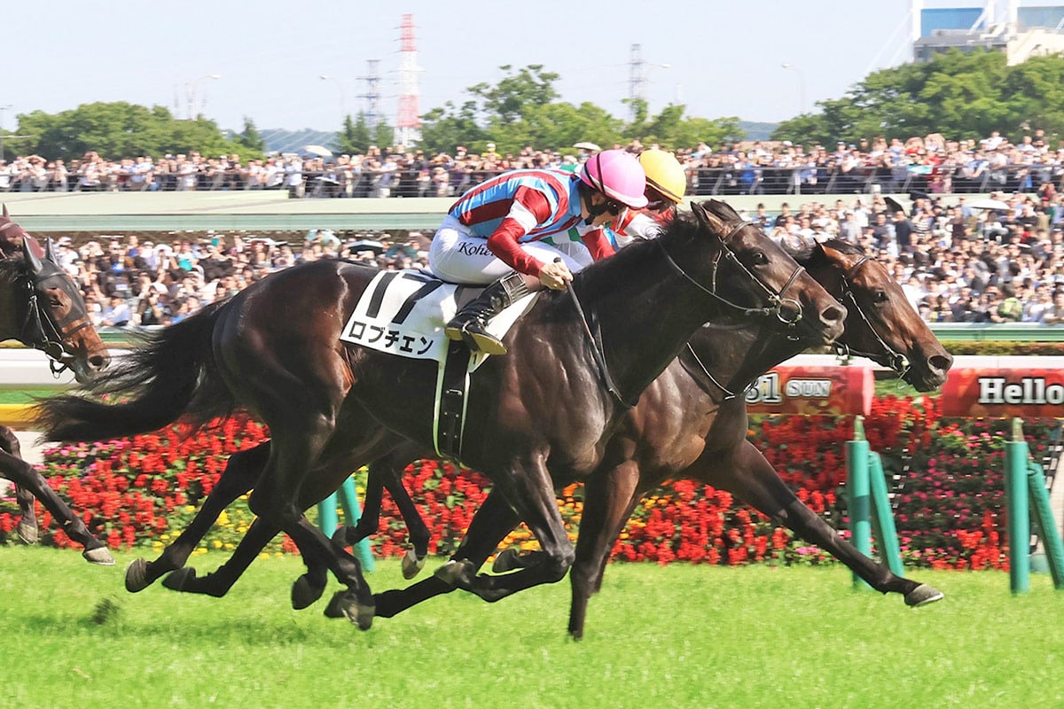 【神戸新聞杯2026/過去10年データ】日本ダービー組が10戦10勝 実績だけでは語れない「枠」と「生産」の傾向 ロブチェン/日本ダービー2026