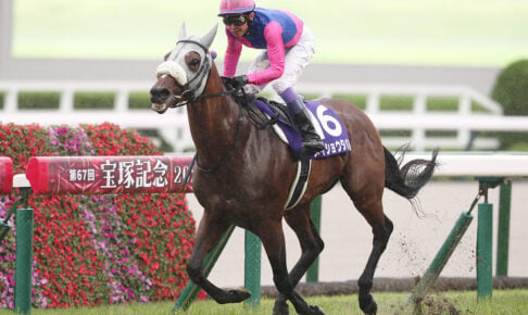 【凱旋門賞2026特集】「メイショウタバルと武豊が挑む夢舞台」オッズ・予想・出走予定馬・馬券発売・放送etc. メイショウタバル/宝塚記念2026