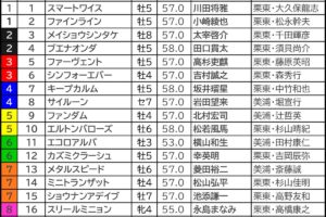 しらさぎS2026の枠順