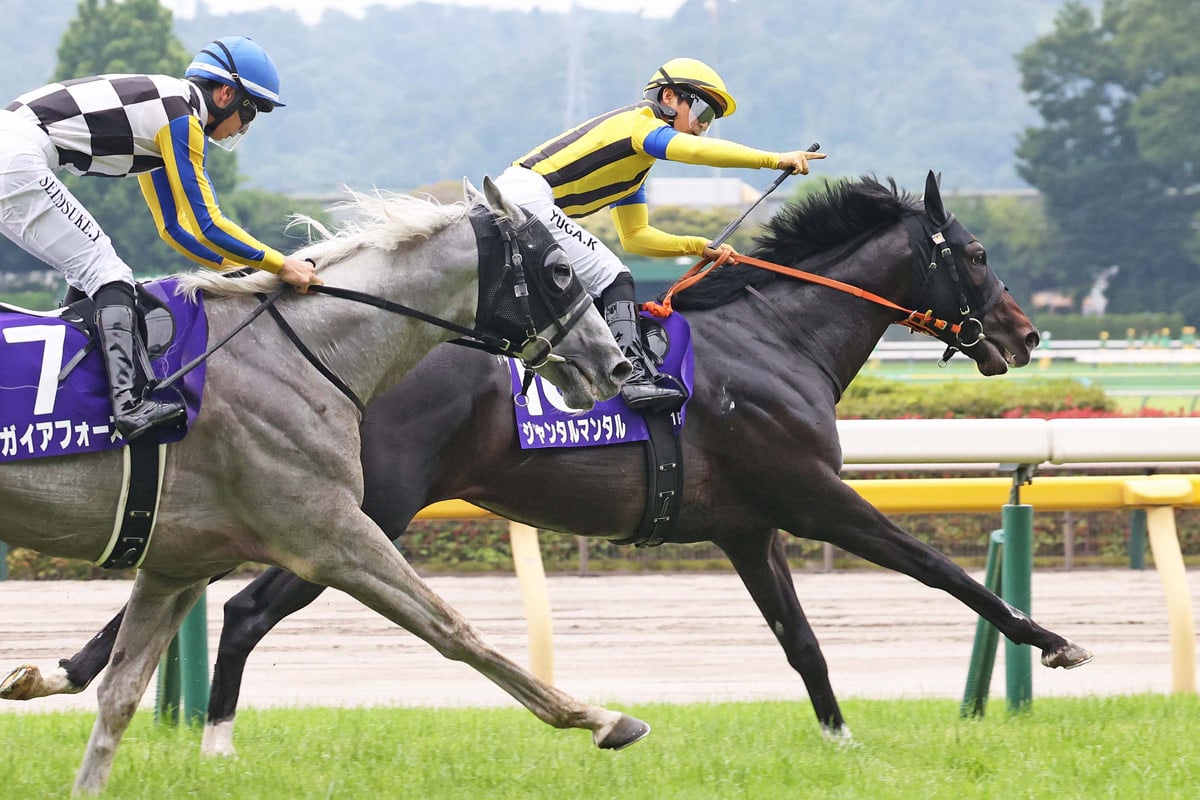 【安田記念/馬券企画第3弾】オークス、ダービー2週連続3連単完全的中。競馬界の重鎮が実際に買う安田記念の馬券を特別公開|SPREAD 【安田記念/馬券企画第3弾】オークス、ダービー2週連続3連単完全的中。競馬界の重鎮が実際に買う安田記念の馬券を特別公開