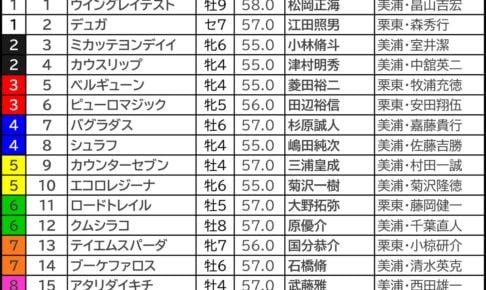 アイビスSD2026の枠順