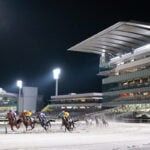 東京シティ競馬（TCK）「トゥインクルレース40周年記念」イベント実施中【TW40周年記念サーモタンブラープレゼント】