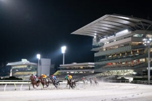 トゥインクルレース開幕40周年を迎えた東京シティ競馬（C）TCK