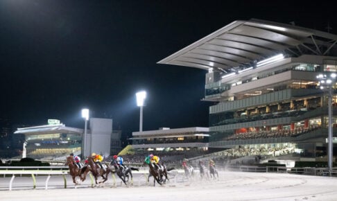 トゥインクルレース開幕40周年を迎えた東京シティ競馬（C）TCK