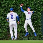 【MLB】「ボールが2つある」捕った?落とした?カブス本拠地リグレーフィールド名物の信じられない珍プレー 外野手がツタのフェンスに激突し…… 【MLB】「ボールが2つある」捕った?落とした?カブス本拠地リグレーフィールド名物の信じられない珍プレー 外野手がツタのフェンスに激突し……