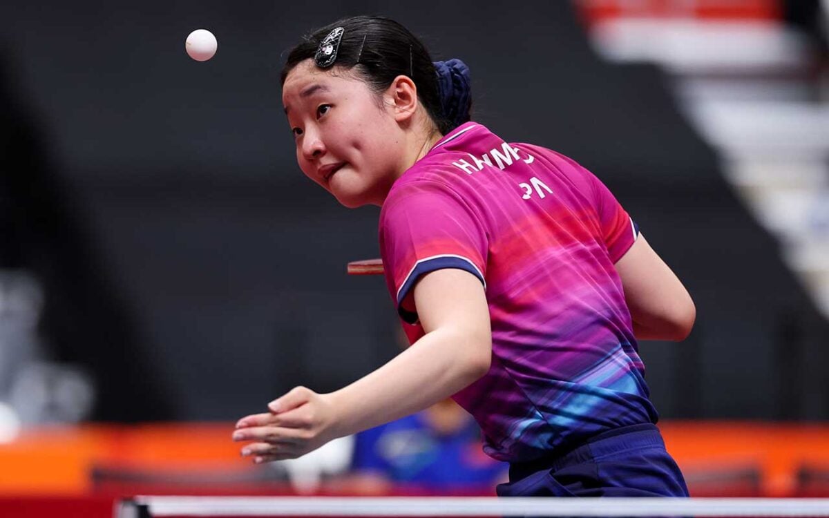 張本美和