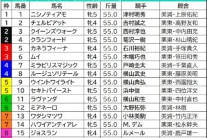 アイルランドT2026枠順