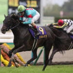 【菊花賞2026予想／過去10年データ】近年はローテに“重大な変化”　関東馬優勢のクラシック三冠最終関門