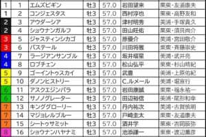 菊花賞2026の枠順