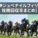 阪神ジュベナイルフィリーズ複勝回収率まとめ
