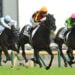 クロワデュノール／日本ダービー（C）産経新聞社