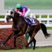 宝塚記念を制したメイショウタバル（