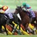 桜花賞に続く秋華賞制覇で牝馬二冠のエンブロイダリー(C)Eiichi Yamane